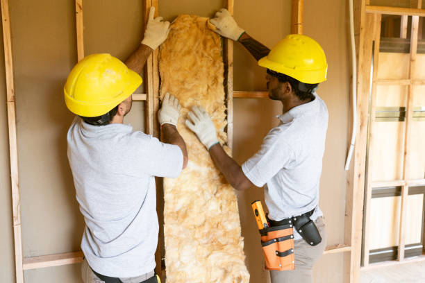 Best Blown-In Insulation in Northwest Ithaca, NY